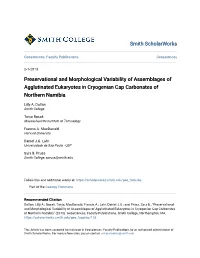 Preservational and Morphological Variability of Assemblages of Agglutinated Eukaryotes in Cryogenian Cap Carbonates of Northern Namibia