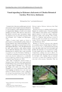 Visual Signaling in Hylarana Chalconota at Cibodas Botanical Garden, West Java, Indonesia