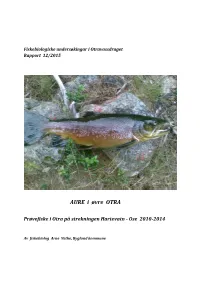 AURE I Øvre OTRA
