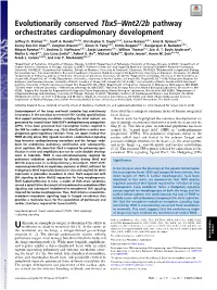 Evolutionarily Conserved Tbx5–Wnt2/2B Pathway Orchestrates Cardiopulmonary Development