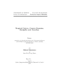 Tropical Curves, Convex Domains, Sandpiles and Amoebas