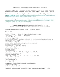 A New Scientific Classification for Bamboos (Bpg 2012)