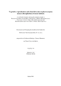 Dissertation Zur Erlangung Des Akademischen Grades Des