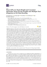 Major Qtls for Trunk Height and Correlated Agronomic Traits Provide Insights Into Multiple Trait Integration in Oil Palm Breeding