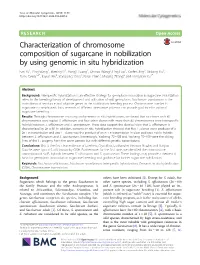 Characterization of Chromosome Composition of Sugarcane in Nobilization by Using Genomic in Situ Hybridization