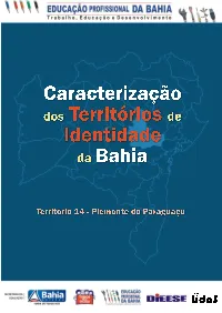 Ficha TI 14.Pdf