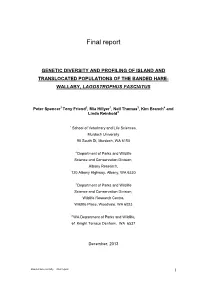 Final Report