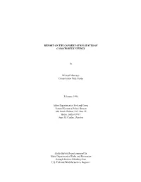 Report on the Conservation Status of Calochortus Nitidus