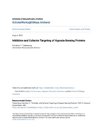 Inhibition and Cofactor Targeting of Hypoxia-Sensing Proteins