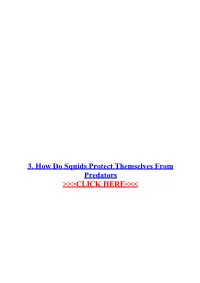 3. How Do Squids Protect Themselves from Predators.Pdf