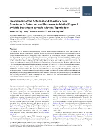 Involvement of the Antennal and Maxillary Palp Structures in Detection and Response to Methyl Eugenol by Male Bactrocera Dorsalis (Diptera: Tephritidae)