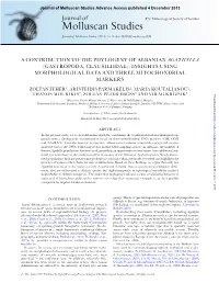 Molluscan Studies Advance Access Published 4 December 2013