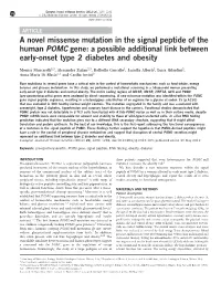 A Novel Missense Mutation in the Signal Peptide of the Human POMC Gene: a Possible Additional Link Between Early-Onset Type 2 Diabetes and Obesity