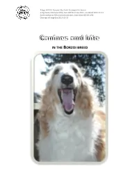 Canines and Bite in the Borzoi Breed