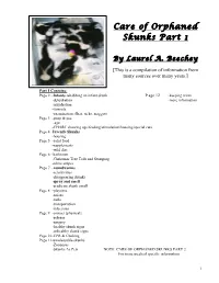 Care of Orphaned Skunks Part 1