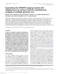 Staphylococcus Aureus Cas9 for Simultaneous