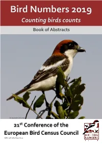 Bird Numbers 2019