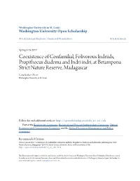 Coexistence of Confamilial, Folivorous Indriids, Propithecus Diadema And