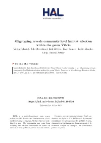 Oligotyping Reveals Community Level Habitat Selection Within the Genus Vibrio