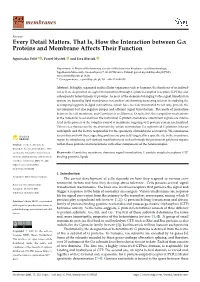 Every Detail Matters. That Is, How the Interaction Between Gα Proteins and Membrane Affects Their Function
