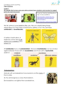 Not All Animals Have Skeletons Like Ours. We Can Classify Living Things Depending on If They Have a Back Bone (Spine) Or Not