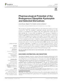 Pharmacological Potential of the Endogenous Dipeptide Kyotorphin and Selected Derivatives
