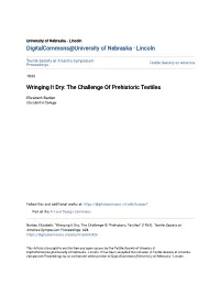 The Challenge of Prehistoric Textiles