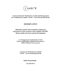 Dissertation