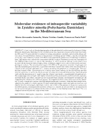 Molecular Evidence of Intraspecific Variability in Lysidice Ninetta (Polychaeta: Eunicidae) in the Mediterranean Sea