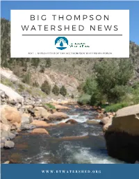 BTWF Newsletter 2017