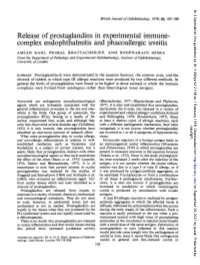 Complex Endophthalmitis and Phacoallergic Uveitis