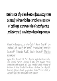 Resistance of Pollen Beetles (Brassicogethes Aeneus) to Insecticides Complicates Control of Cabbage Stem Weevils (