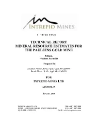 Technical Report Mineral Resource Estimates for the Paulsens Gold Mine