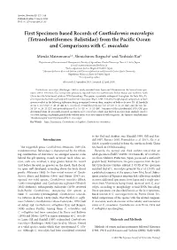 First Specimen-Based Records of Canthidermis Macrolepis (Tetraodontiformes: Balistidae) from the Pacific Ocean and Comparisons with C