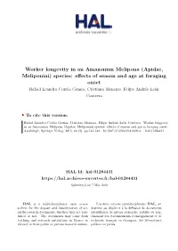 Worker Longevity in an Amazonian Melipona