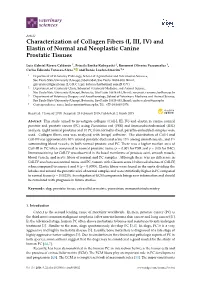 Characterization of Collagen Fibers (I, III, IV) and Elastin of Normal and Neoplastic Canine Prostatic Tissues