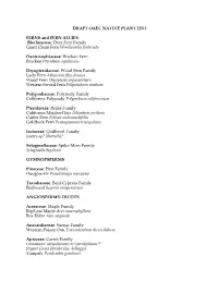 DRAFT OAEC NATIVE PLANT LIST FERNS and FERN ALLIES