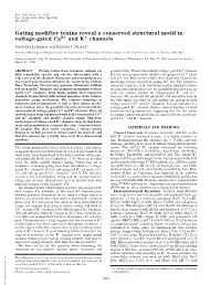 Gating Modifier Toxins Reveal a Conserved Structural Motif in Voltage-Gated Ca2؉ and K؉ Channels