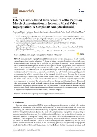 Euler's Elastica-Based Biomechanics of the Papillary Muscle