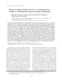 Human T-Complex Protein 11 (TCP11), a Testis-Specific Gene Product, Is a Potential Determinant of the Sperm Morphology