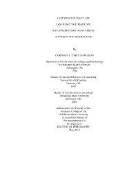 I AM WHAT YOU MAKE ME. an EXPLORATORY ANALYSIS of GANGS in the HEARTLAND by CORINICE L. CEPHUS-WILSON Ba