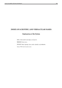 Index of Scientific and Vernacular Names 325