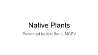 Native Plants Presented by Ann Bone, MGEV What Is a Native Plant?