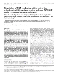 Regulation of DNA Replication at the End of the Mitochondrial D-Loop