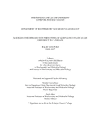 Open Thesis Final Draft Janowitz.Pdf