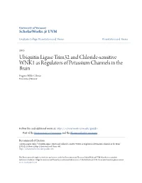 Ubiquitin Ligase Trim32 and Chloride-Sensitive WNK1 As Regulators of Potassium Channels in the Brain Eugene Miler Cilento University of Vermont