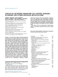 Circuits in the Rodent Brainstem That Control Whisking in Concert with Other Orofacial Motor Actions