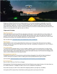 Download Our Dark Skies Guide