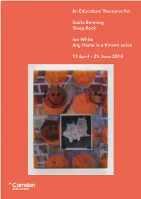 Educators' Resource: Sadie Benning and Ian White