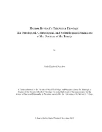 Herman Bavinck's Trinitarian Theology